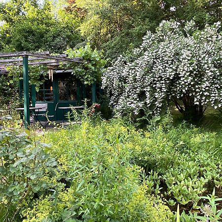 Design Ferienwohnung Mit Bauerngarten ヴァルトキルヒェン エクステリア 写真