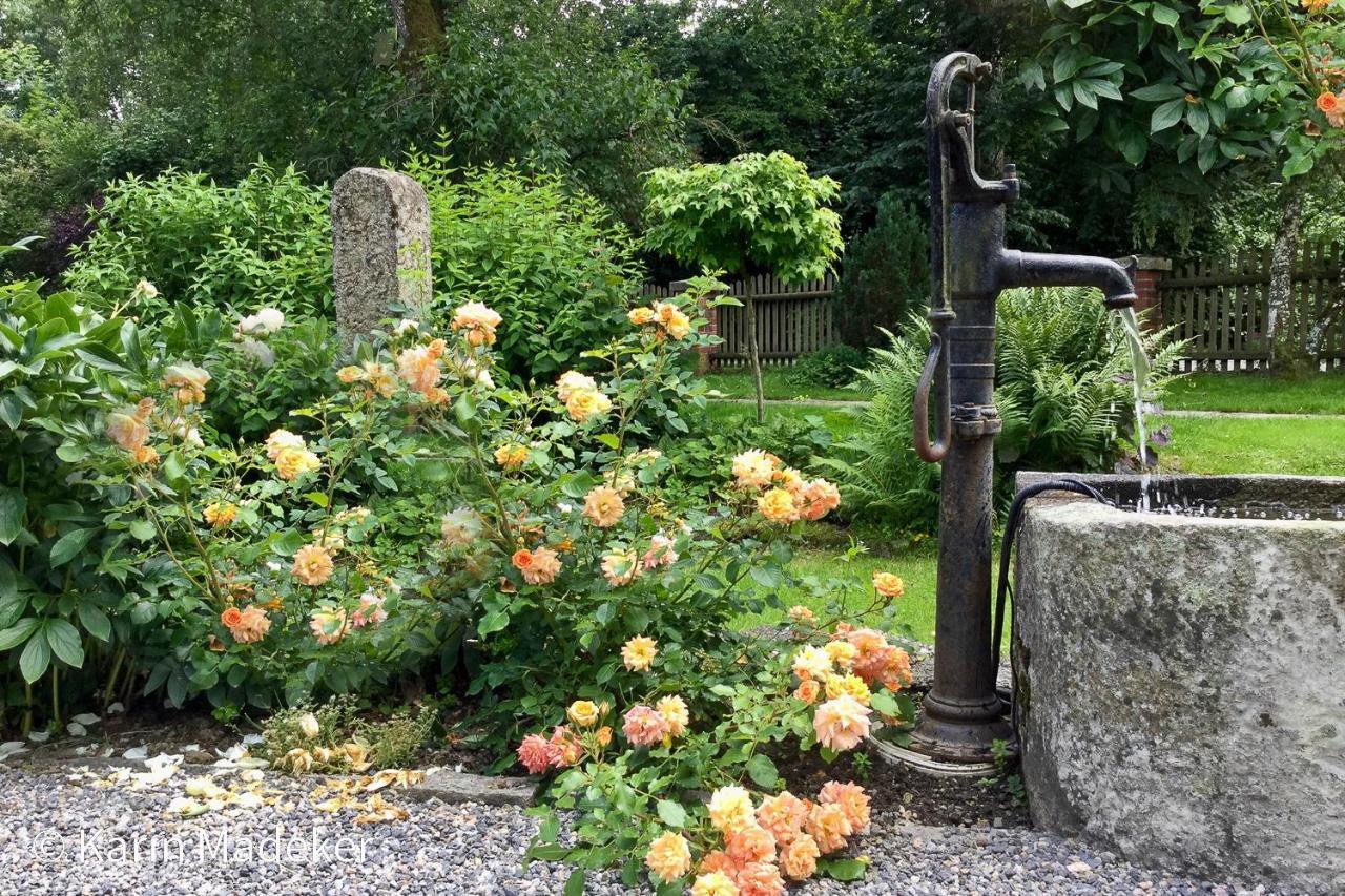 Design Ferienwohnung Mit Bauerngarten ヴァルトキルヒェン エクステリア 写真
