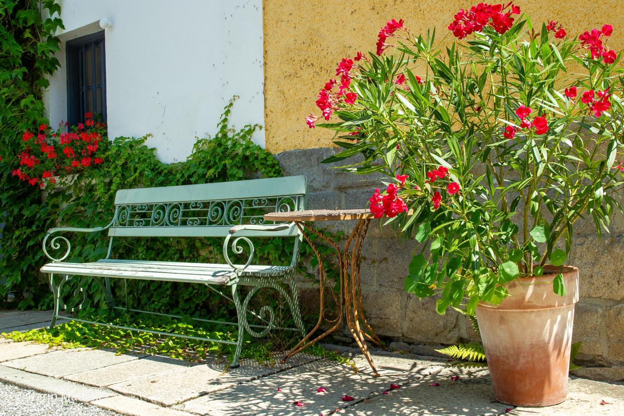 Design Ferienwohnung Mit Bauerngarten ヴァルトキルヒェン エクステリア 写真