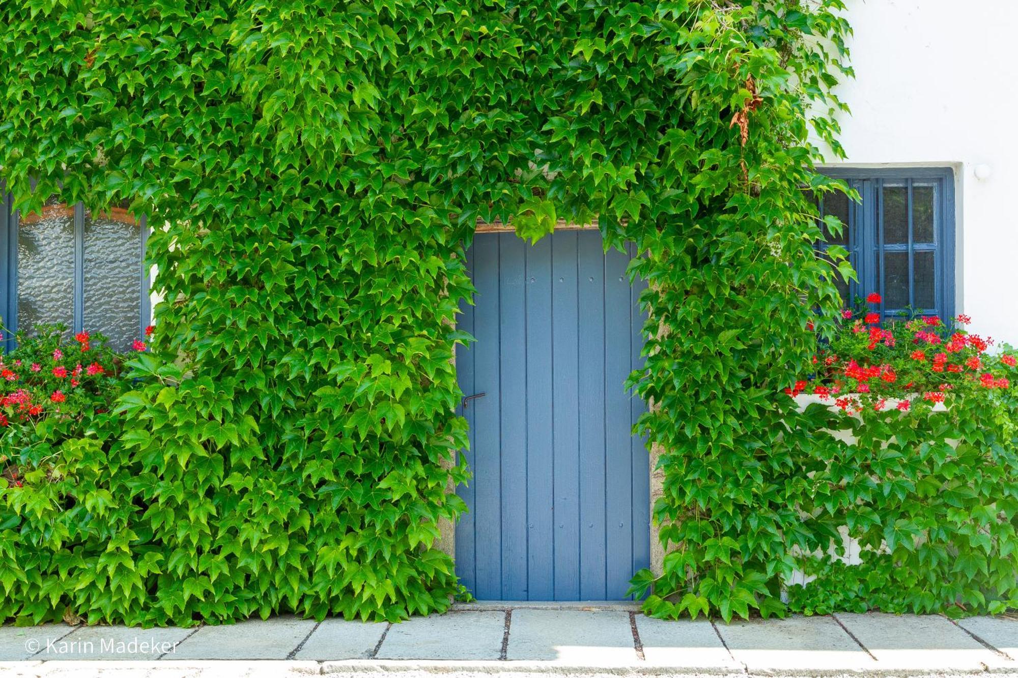Design Ferienwohnung Mit Bauerngarten ヴァルトキルヒェン エクステリア 写真